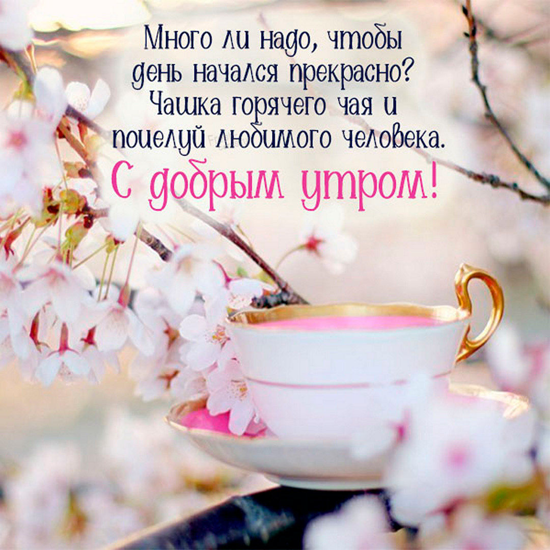Много ли надо, чтобы день начался прекрасно? Чашка горячего чая и поцелуй любимого человека, с добрым утром! 