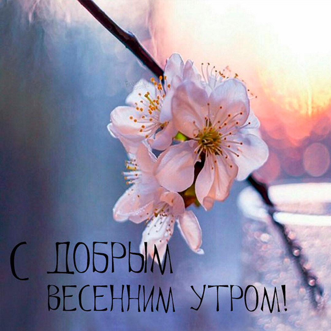 Открытка хорошего Мартовского утра!