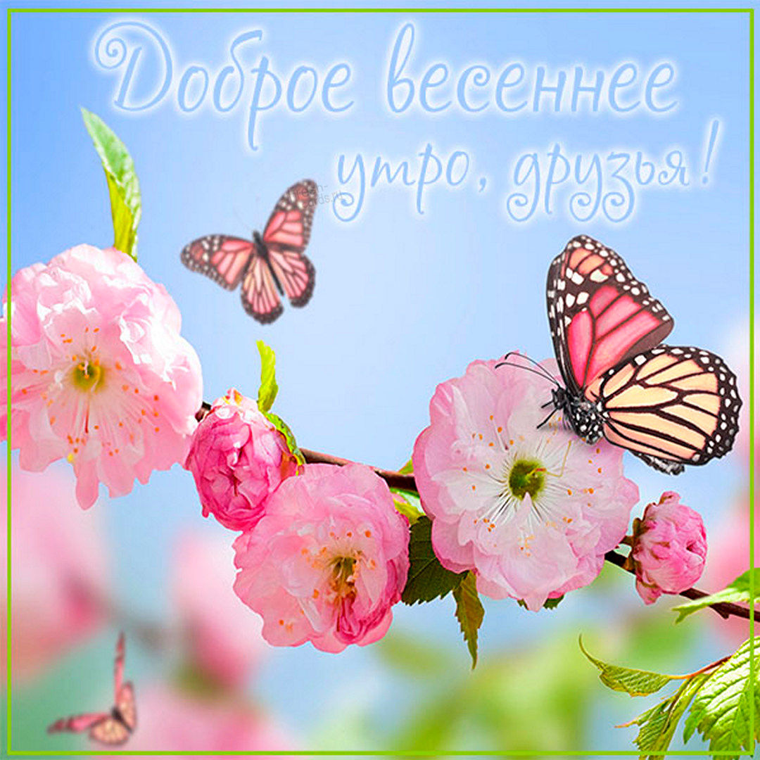 Картинка с добрым Мартовским утром, весна!