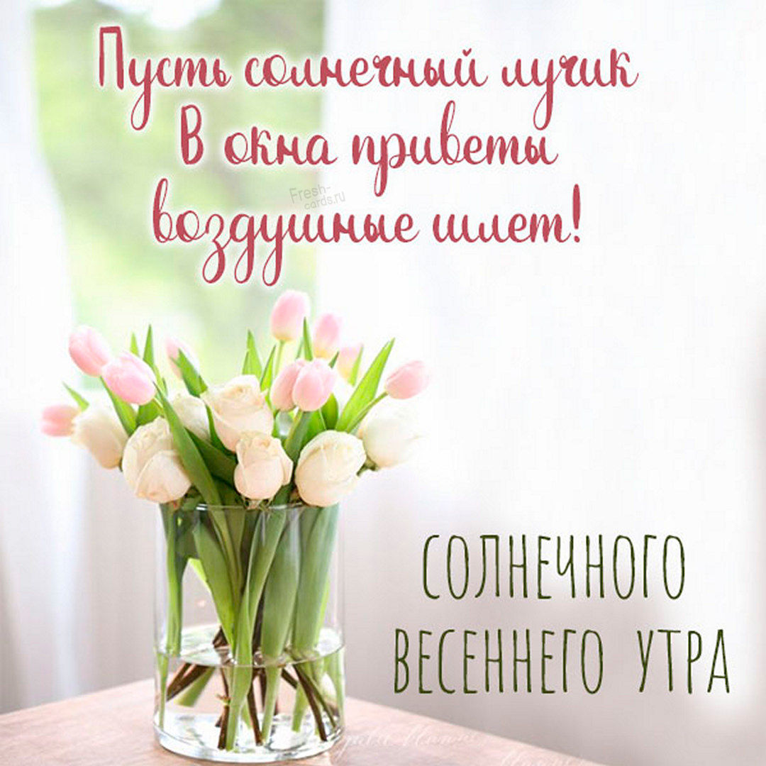 Пусть солнечный лучик в окна приветы воздушные шлёт! Солнечного весеннего утра!