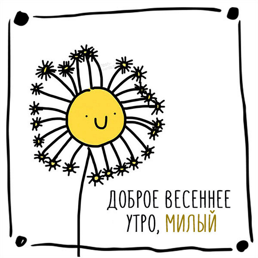 Смешная картинка с добрым весенним утром Милый!