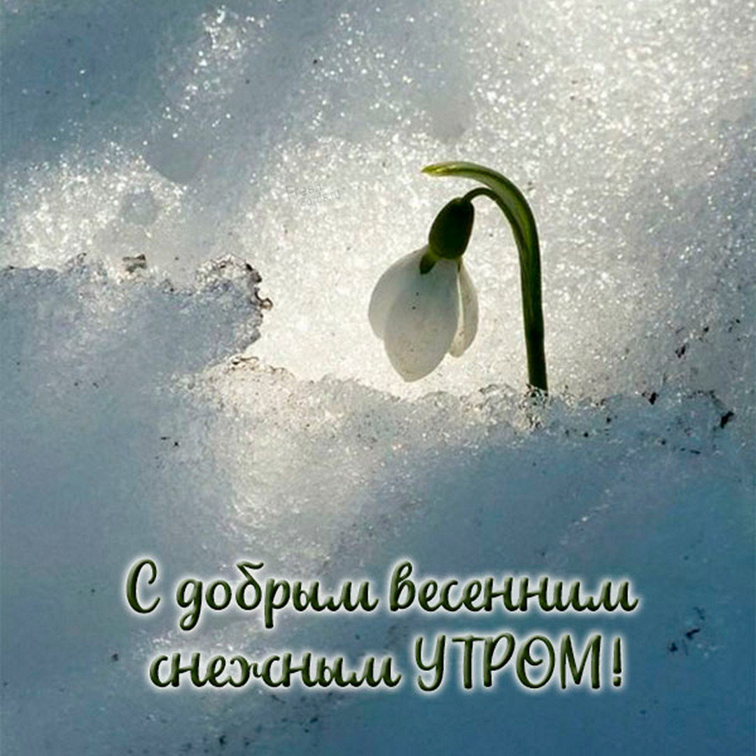 С добрым весенним снежным утром!
