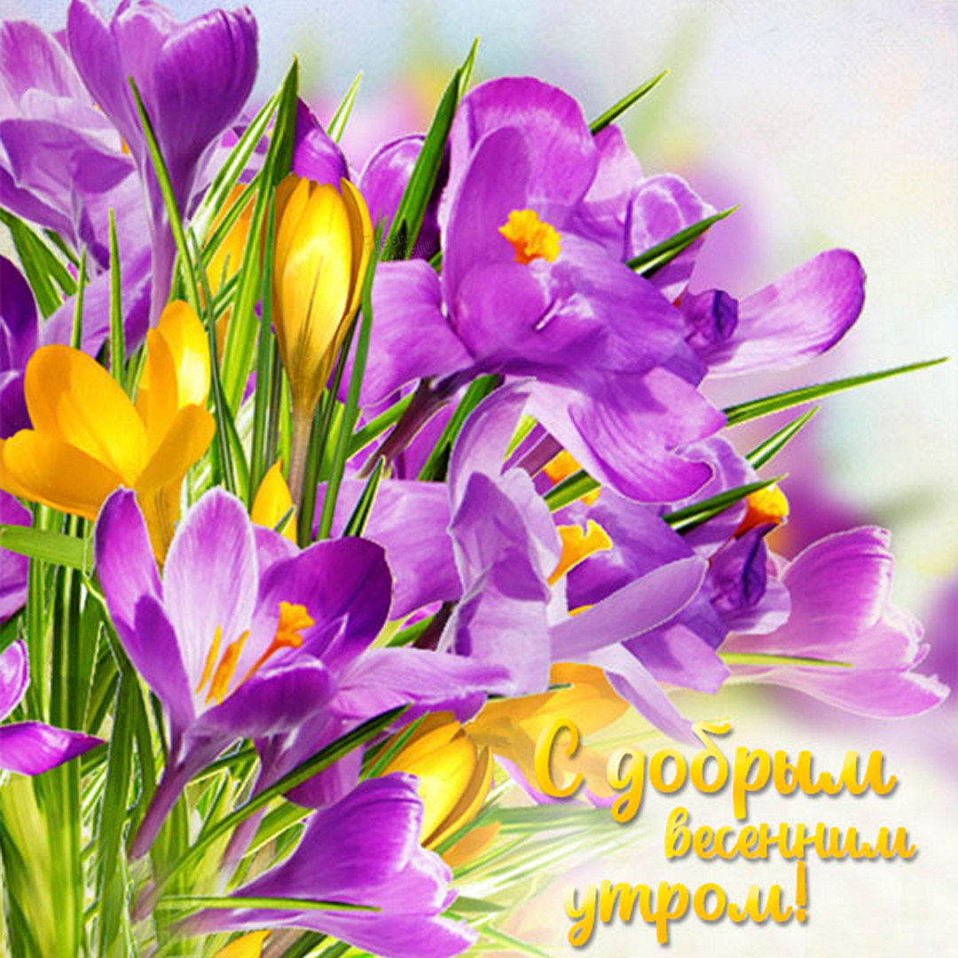 Картинка весенние цветы!