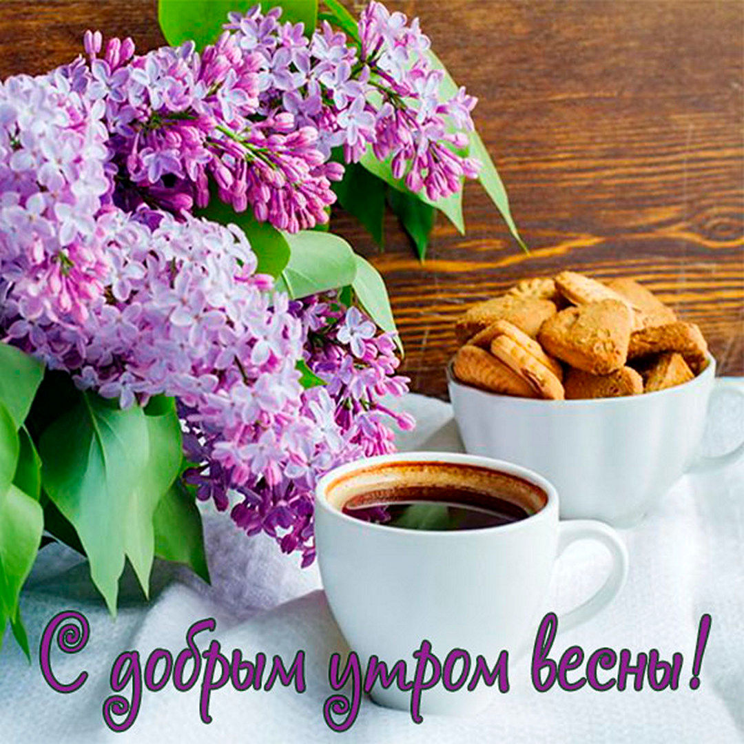 Открытка с добрым утром Весны с сиренью!