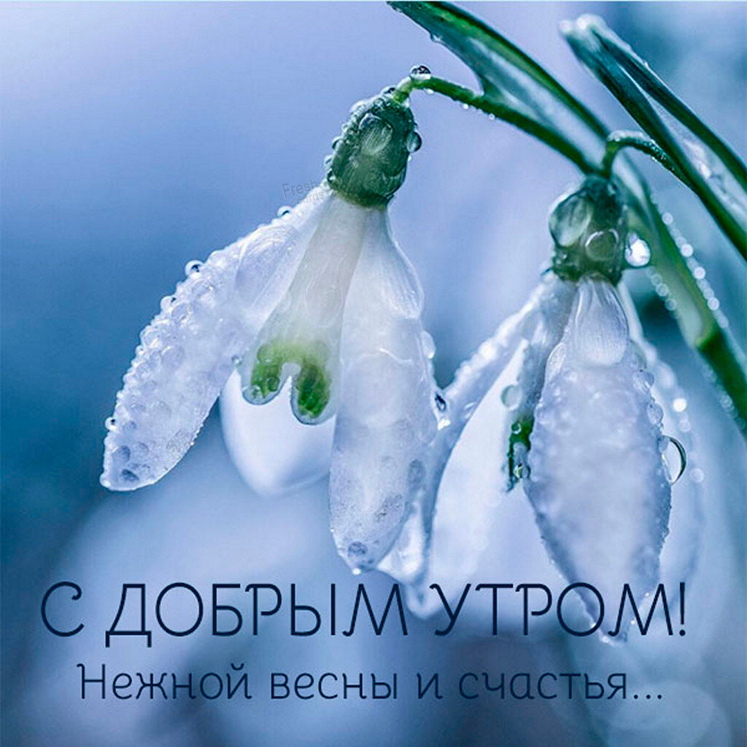 Пожелания нежной весны и счастья!