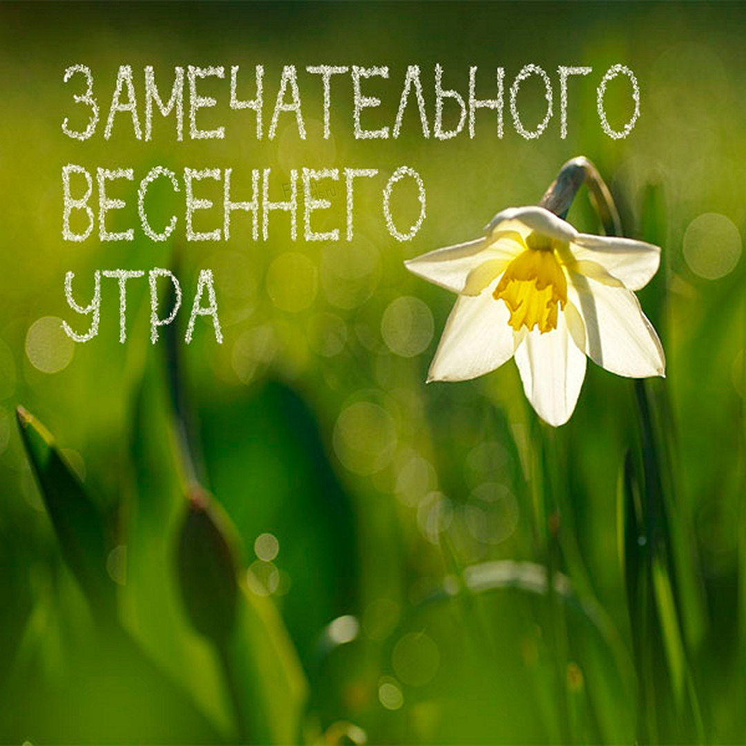 Замечательного весеннего утра!
