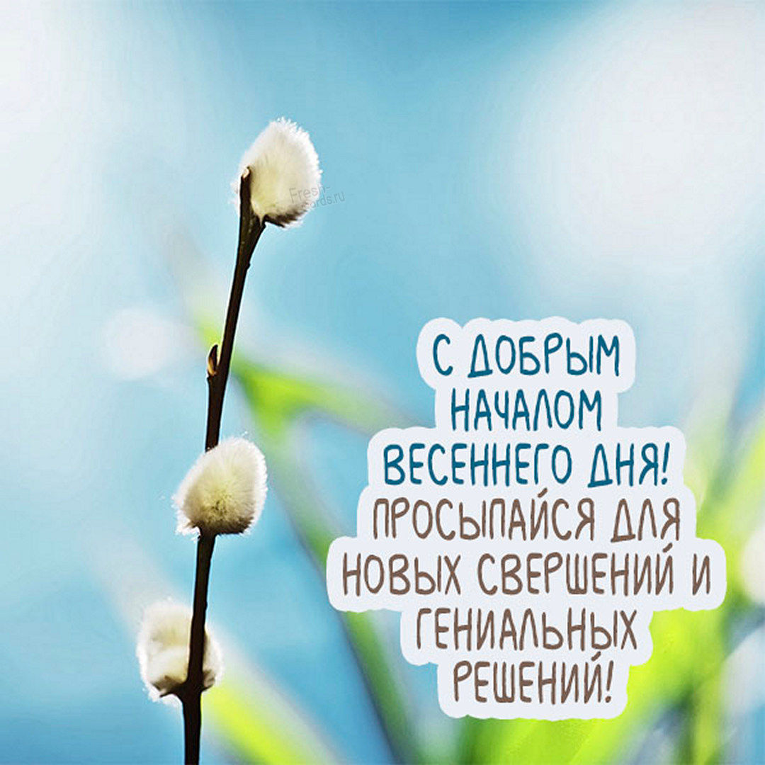 С добрым началом Весеннего дня! Просыпайся для новых свершений и гениальных решений!