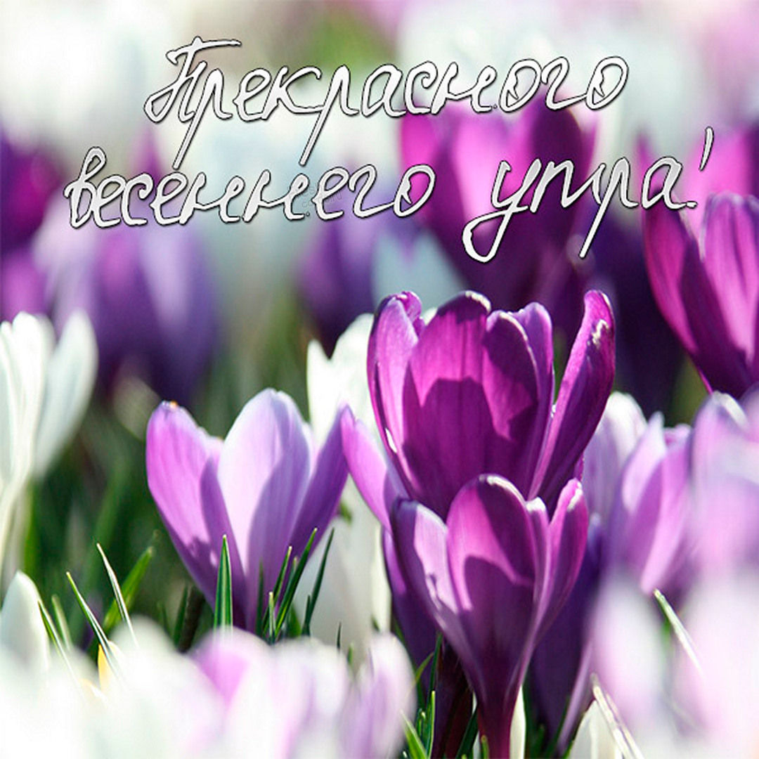 Прекрасного весеннего утра!