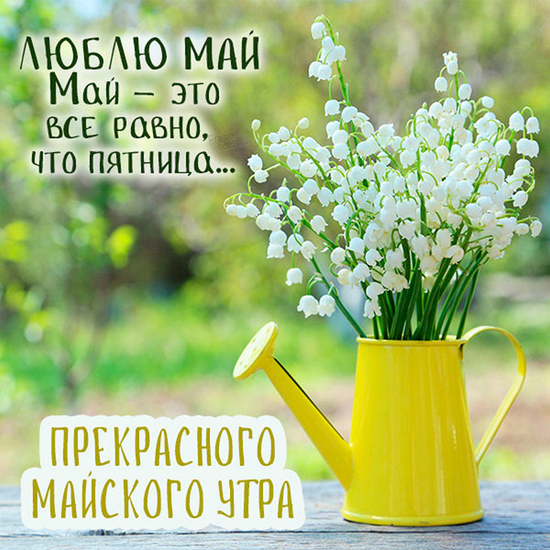 Люблю Май, Май - это всё равно, что пятница!