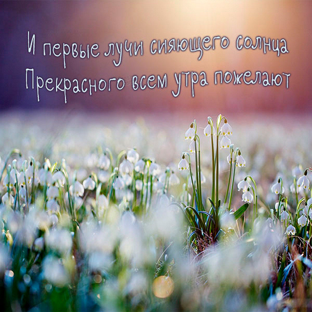 И первые лучи сияющего Майского солнца прекрасного всем утра пожелают!