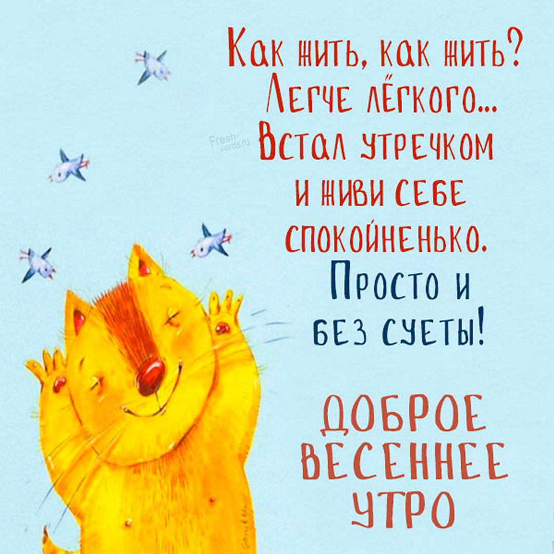 Как жить, как жить? Легче лёгкого... Встал утречком и живи себе спокойненько. Просто и без суеты, доброе Майское утро!
