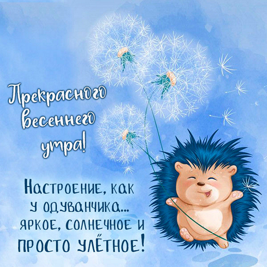 Пожелания прекрасного весеннего утра в Мае! Настроение, как у одуванчика... Яркое, солнечное и просто улётное!