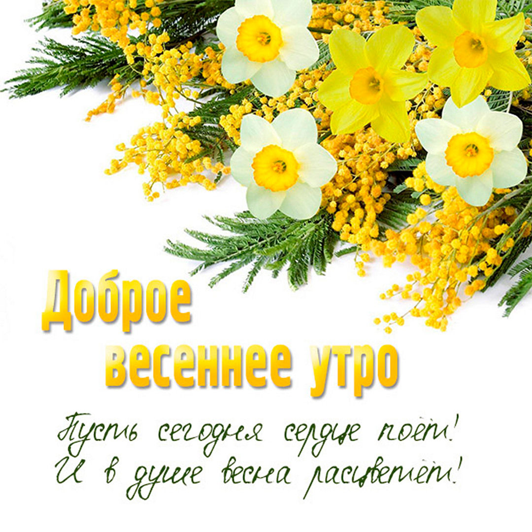 Пусть сегодня сердце поёт и в душе весна расцветёт!