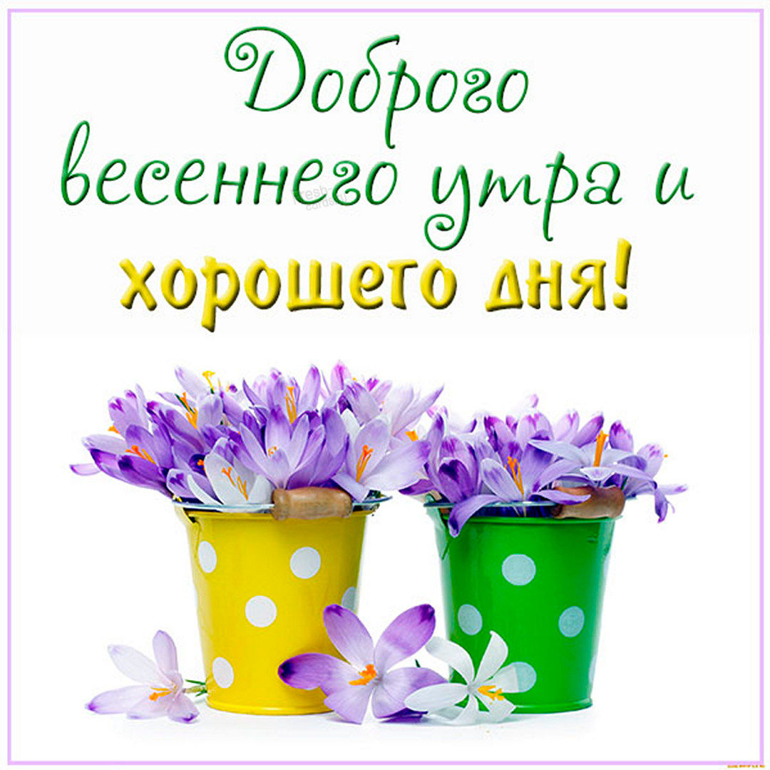 Доброго весеннего утра и хорошего дня, пожелания для тебя!