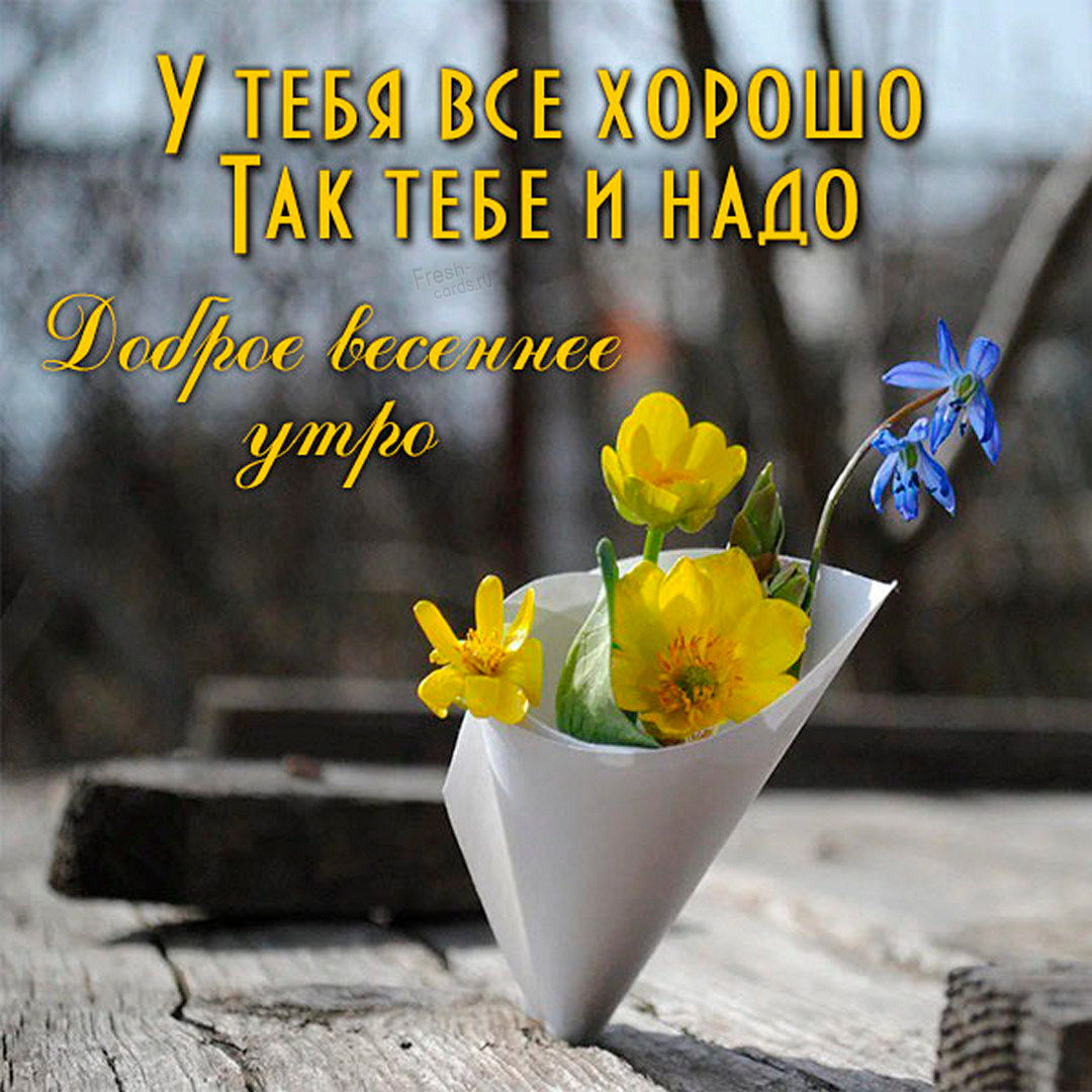 У тебя всё хорошо, так тебе и надо, доброе весеннее утро!