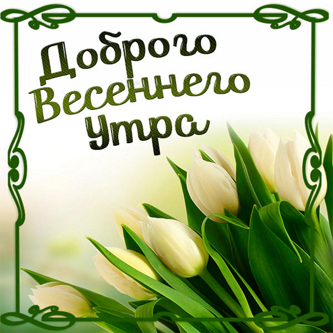 Прикольная картинка Доброго весеннего утра в Апреле!
