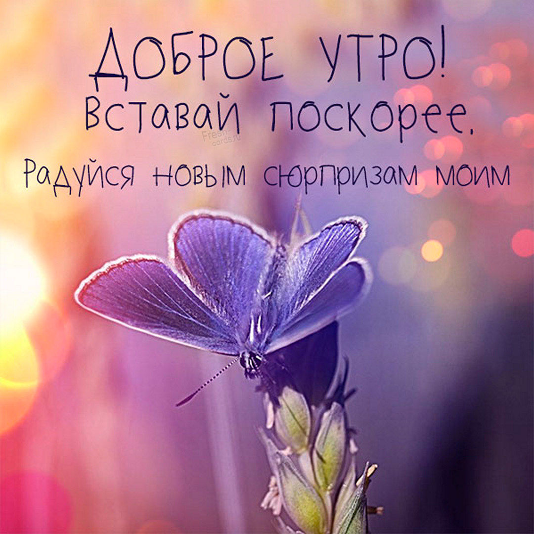 Доброе утро, вставай поскорее, радуйся новым сюрпризам моим!