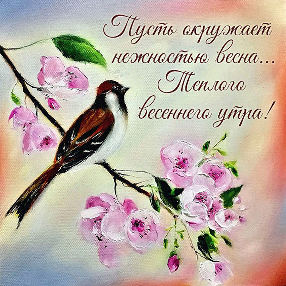Пусть окружает нежностью весна... Тёплого весеннего утра!