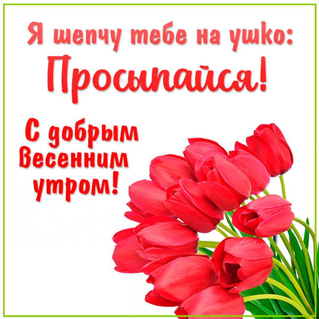 Я шепчу тебе на ушко : Просыпайся! С Добрым весенним утром в Апреле!
