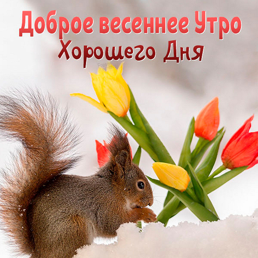Доброго утра и хорошего Апрельского дня!