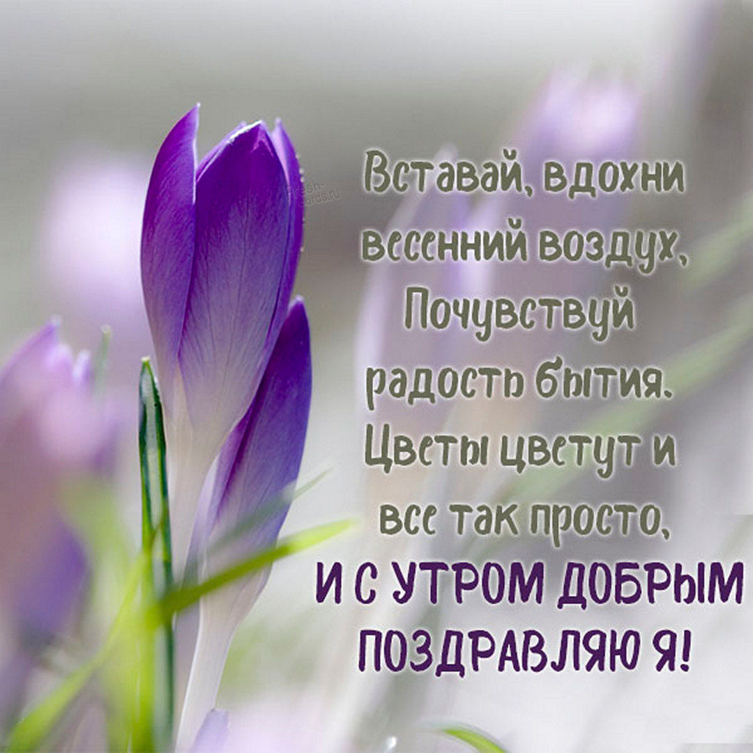 Вставай, вдохни весенний воздух, почувствуй радость бытия! Цветы цветут и всё так просто, с добрым утром в Апреле!