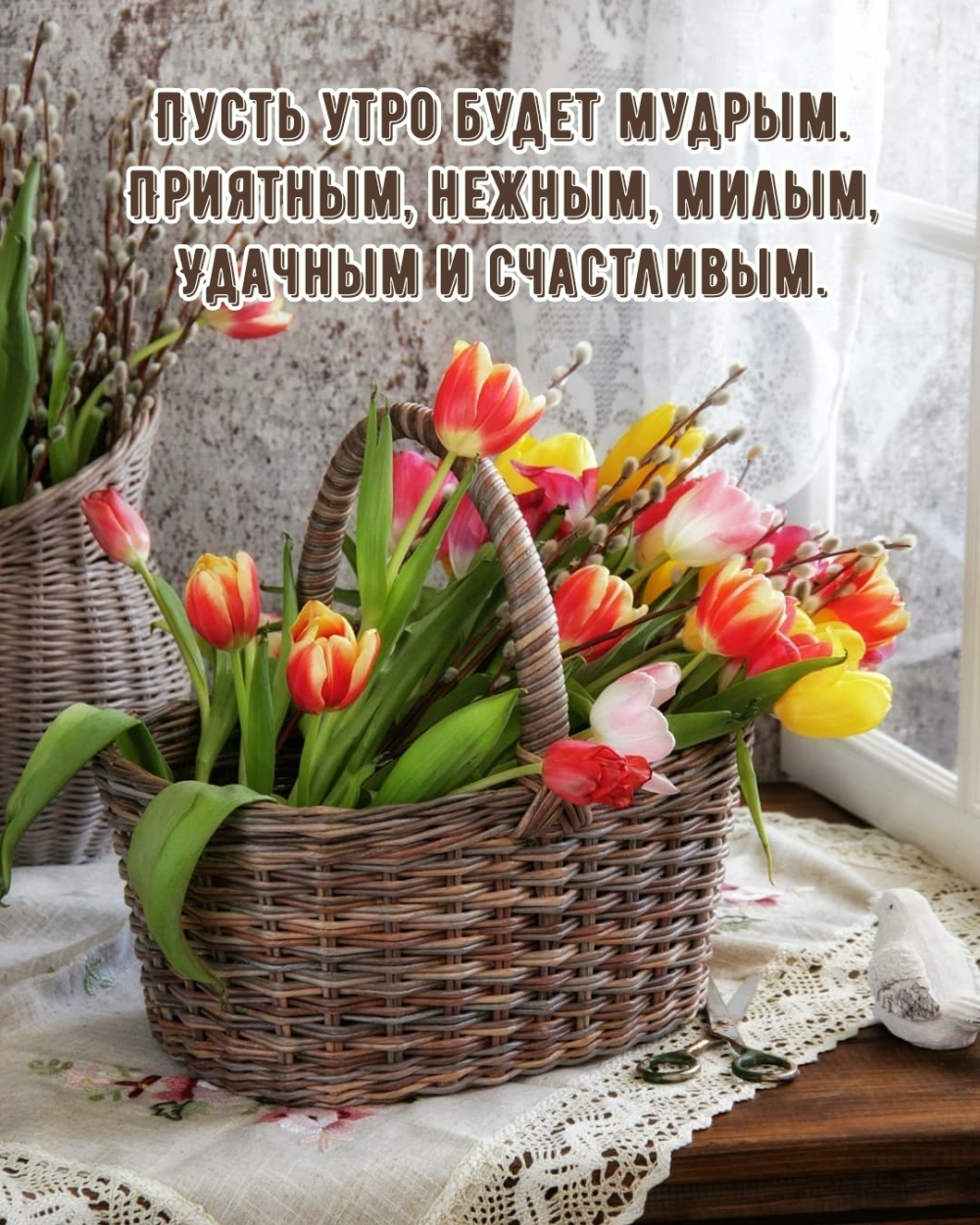 Пусть утро будет мудрым. Приятным, нежным, милым, удачным и счастливым!