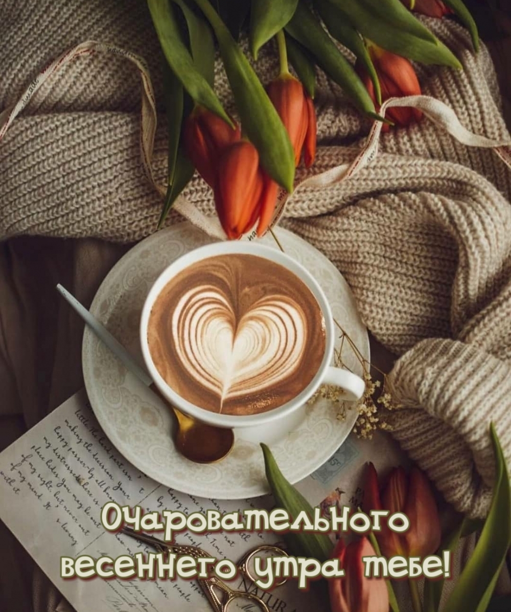 Очаровательного весеннего утра тебе!