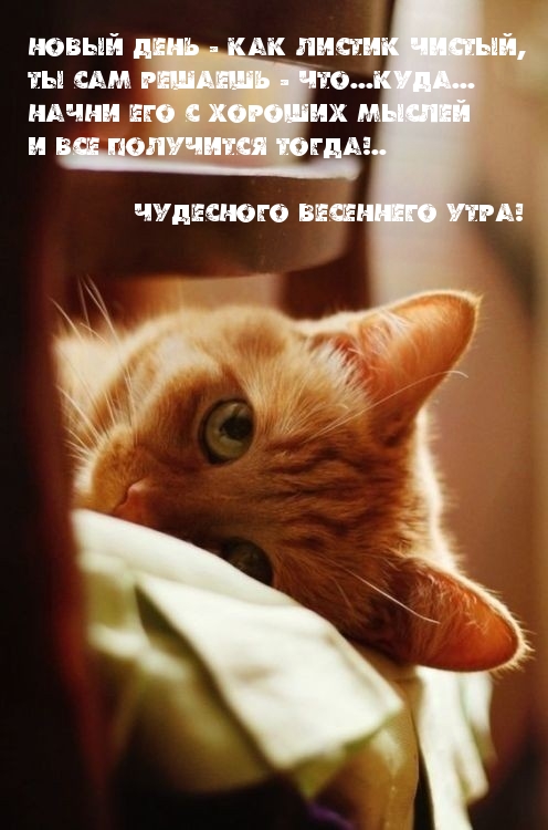 Новый день - как листик чистый, ты сам решаешь - что...куда... Начни его с хороших мыслей и всё получится тогда!