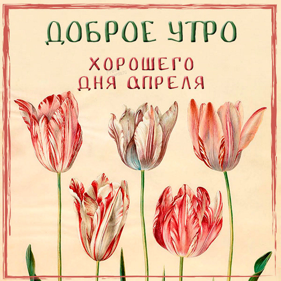 Пожелания доброго утра и хорошего дня в Апреле!