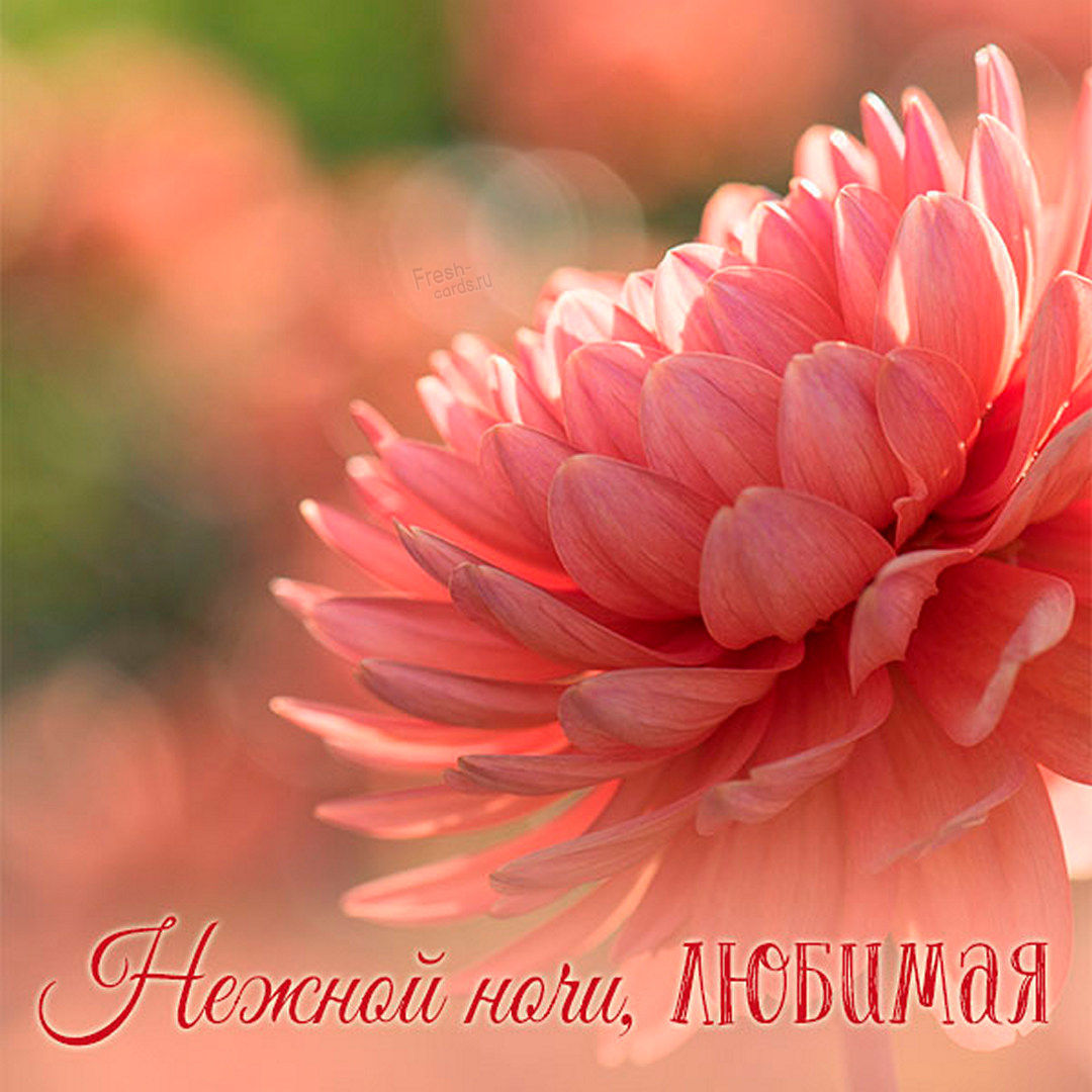 Пожелание, нежной ночи любимая!