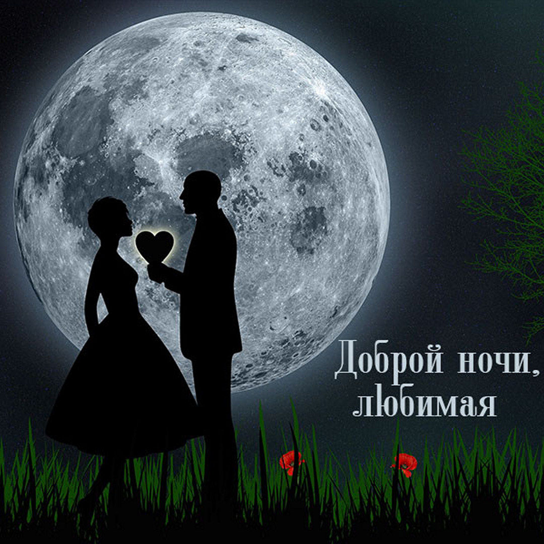 Романтическая картинка с пожеланием доброй ночи, любимая!