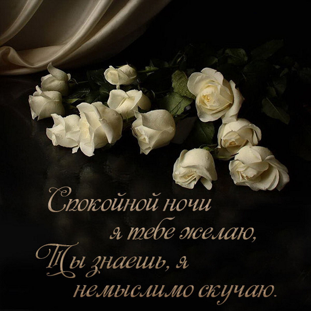 Спокойной ночи я тебе желаю. Ты знаешь, я немыслимо скучаю.