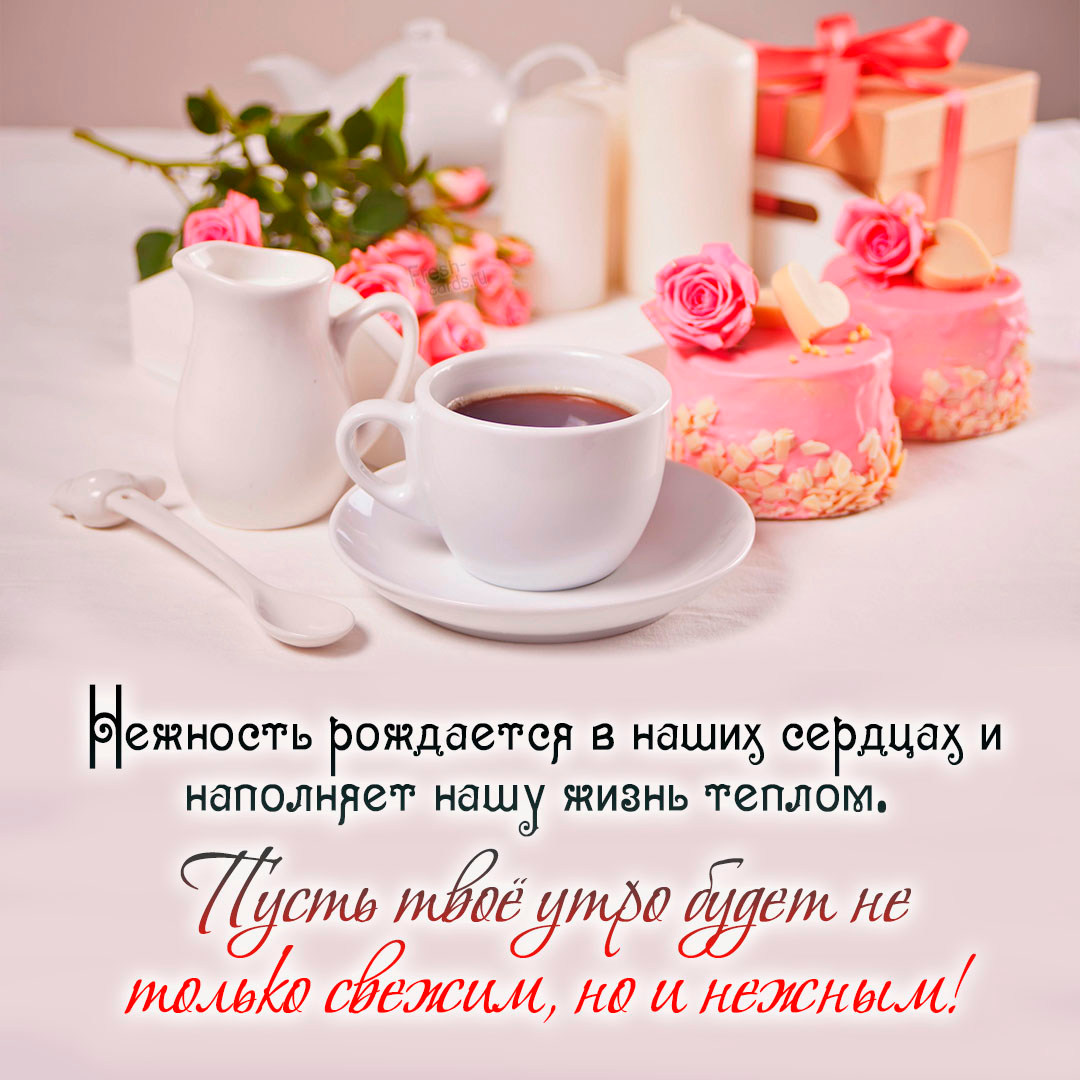 Картинка нежность рождается в наших сердцах и наполняет нашу жизнь теплом. Пусть твоё утро будет не только свежим, но и нежным!