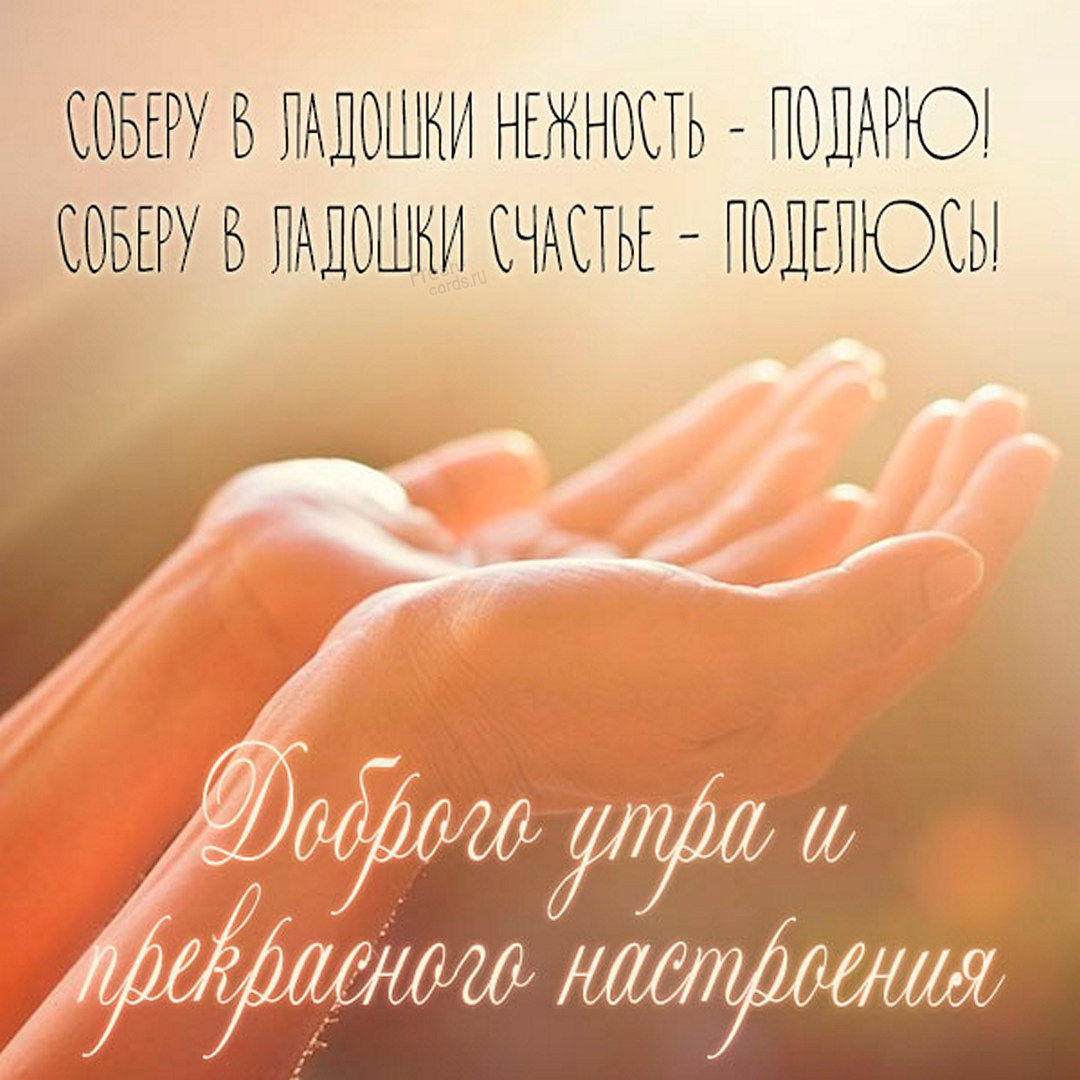 Соберу в ладошки нежность - подарю! Соберу в ладошки счастье - поделюсь! Картинка доброго утра и прекрасного настроения!