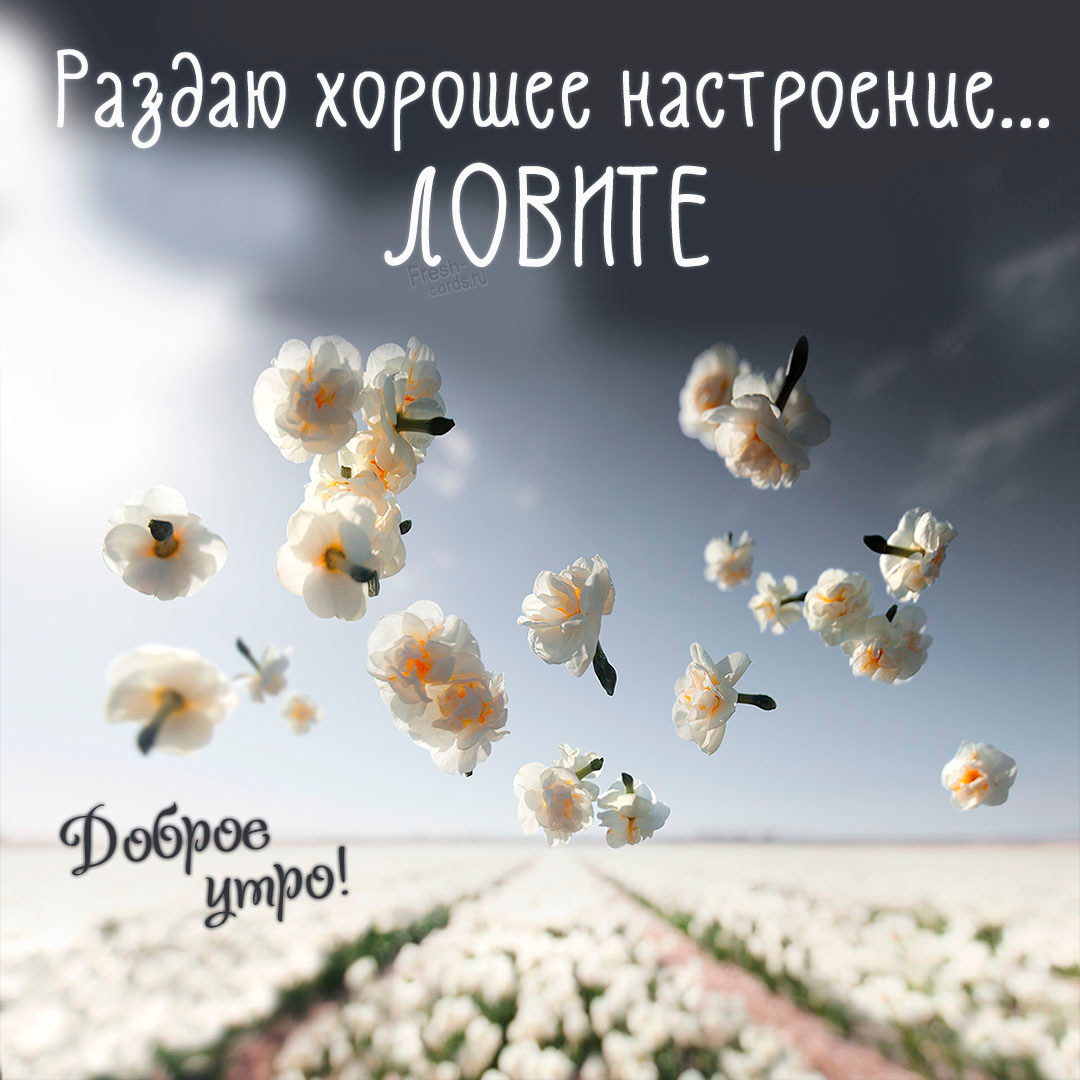 Раздаю хорошее настроение ловите, доброе утро!
