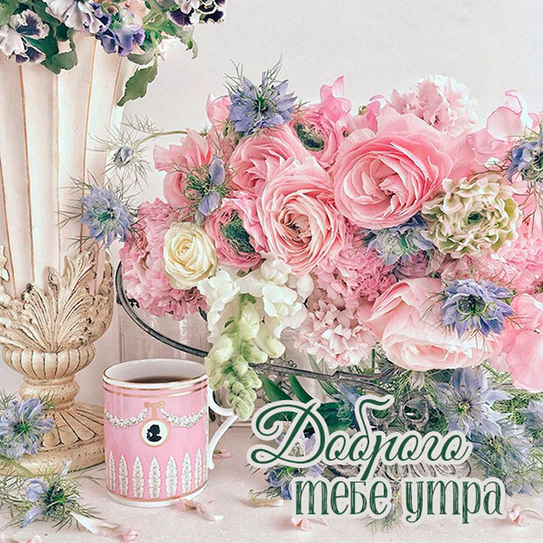 Красивая картинка с цветами, доброго утра тебе!