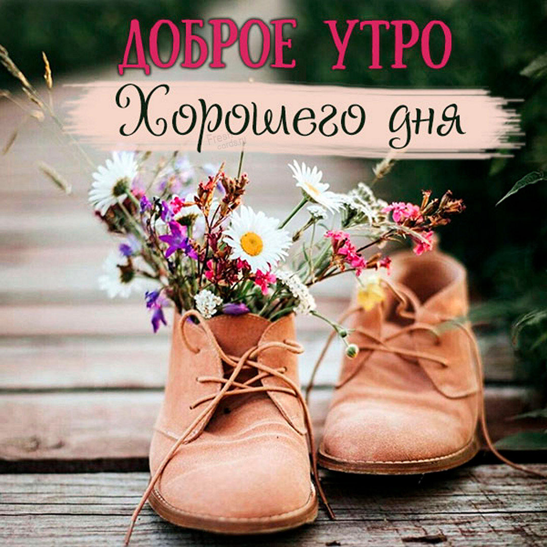 Очень красивая картинка с пожеланием доброго утра и хорошего дня с цветами для любимой!