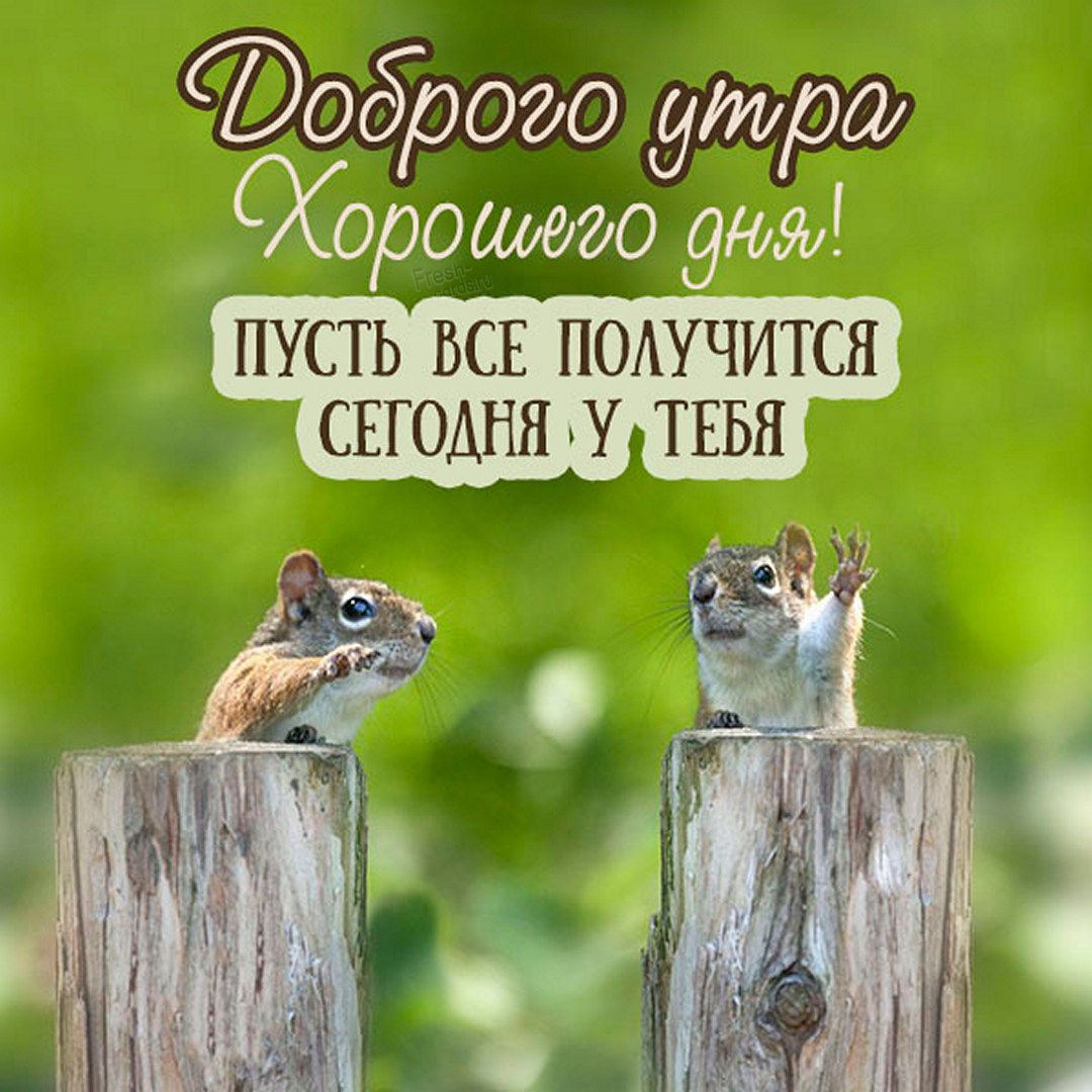 Доброго утра и хорошего дня! Пусть всё получится сегодня у тебя!