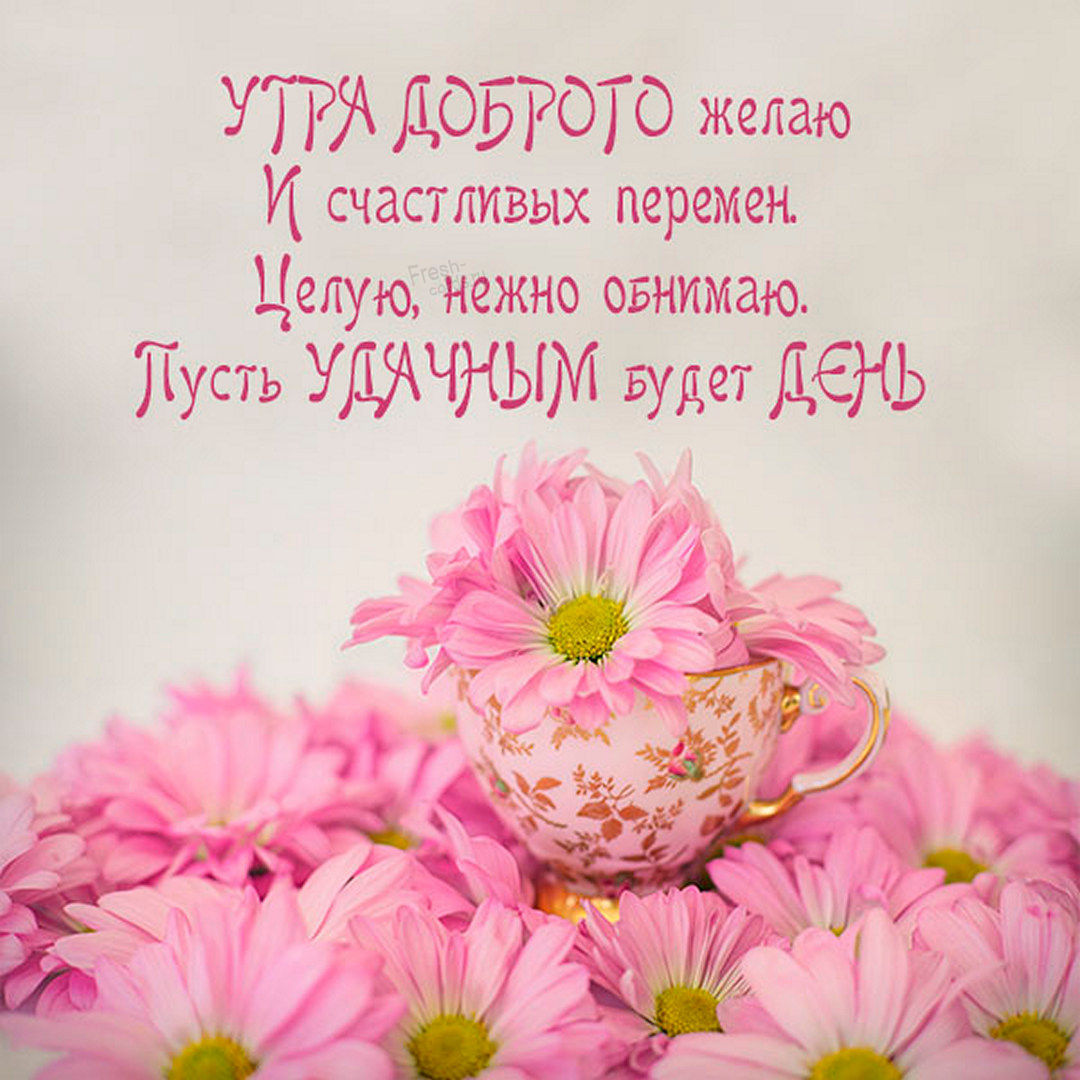 Утра доброго желаю и счастливых перемен. Целую, нежно обнимаю. Пусть удачным будет день!