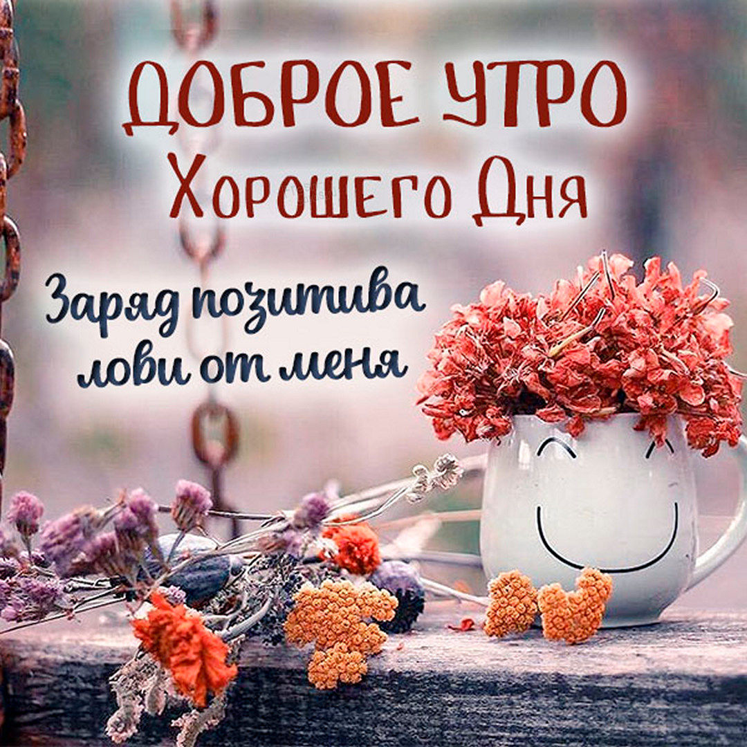 Пожелание доброго утра и хорошего дня! Заряд позитива лови от меня! Прекрасная осенняя картинка!