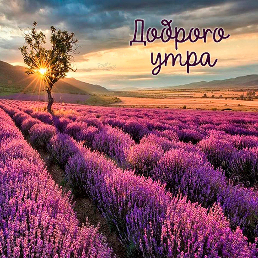 Невероятно красивая утренняя картинка с природой!