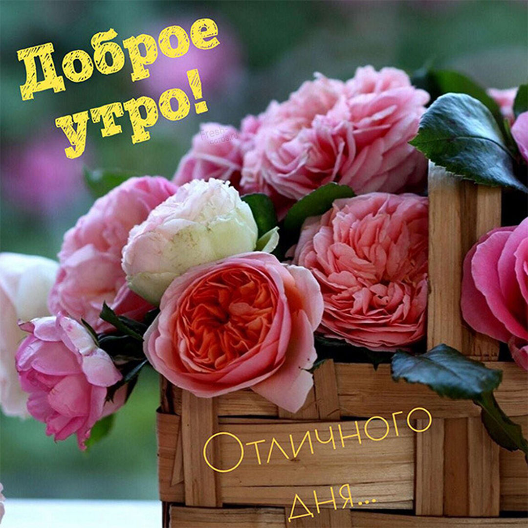 Картинка с пожеланием доброго утра и отличного дня с цветами!