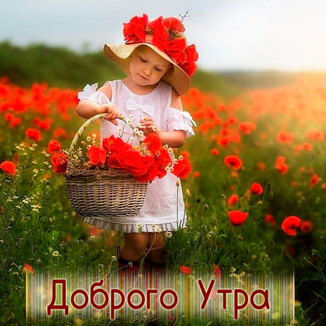 Открытка с девочкой в маковом поле и пожеланием доброго утра!