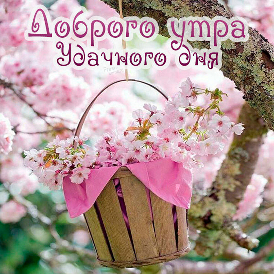 Милая открытка для девушки доброго утра и удачного дня!