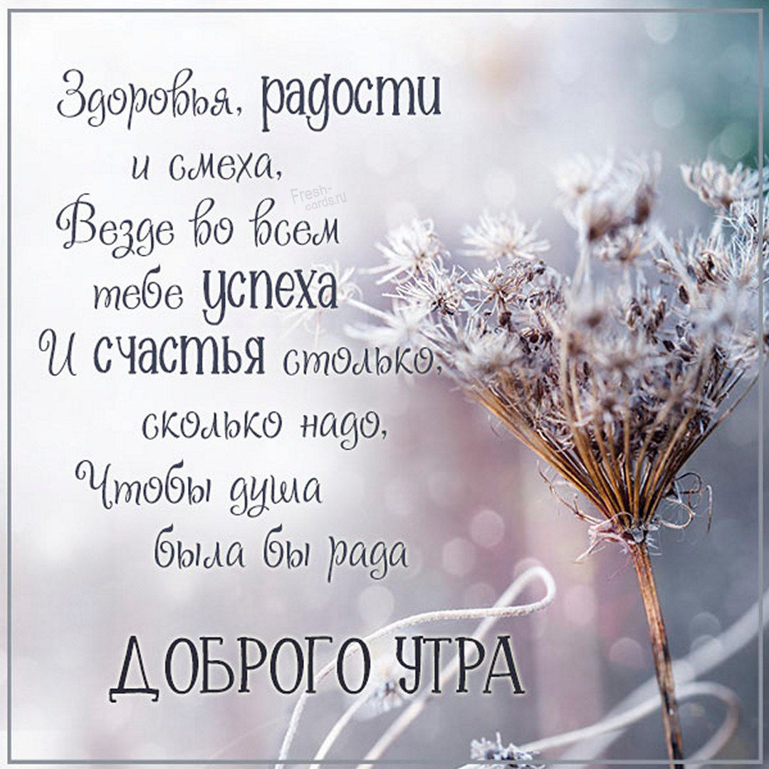 Здоровья, радости и смеха. Везде во всём тебе успеха и счастья столько, сколько надо, чтоб душа была рада, с добрым утром!