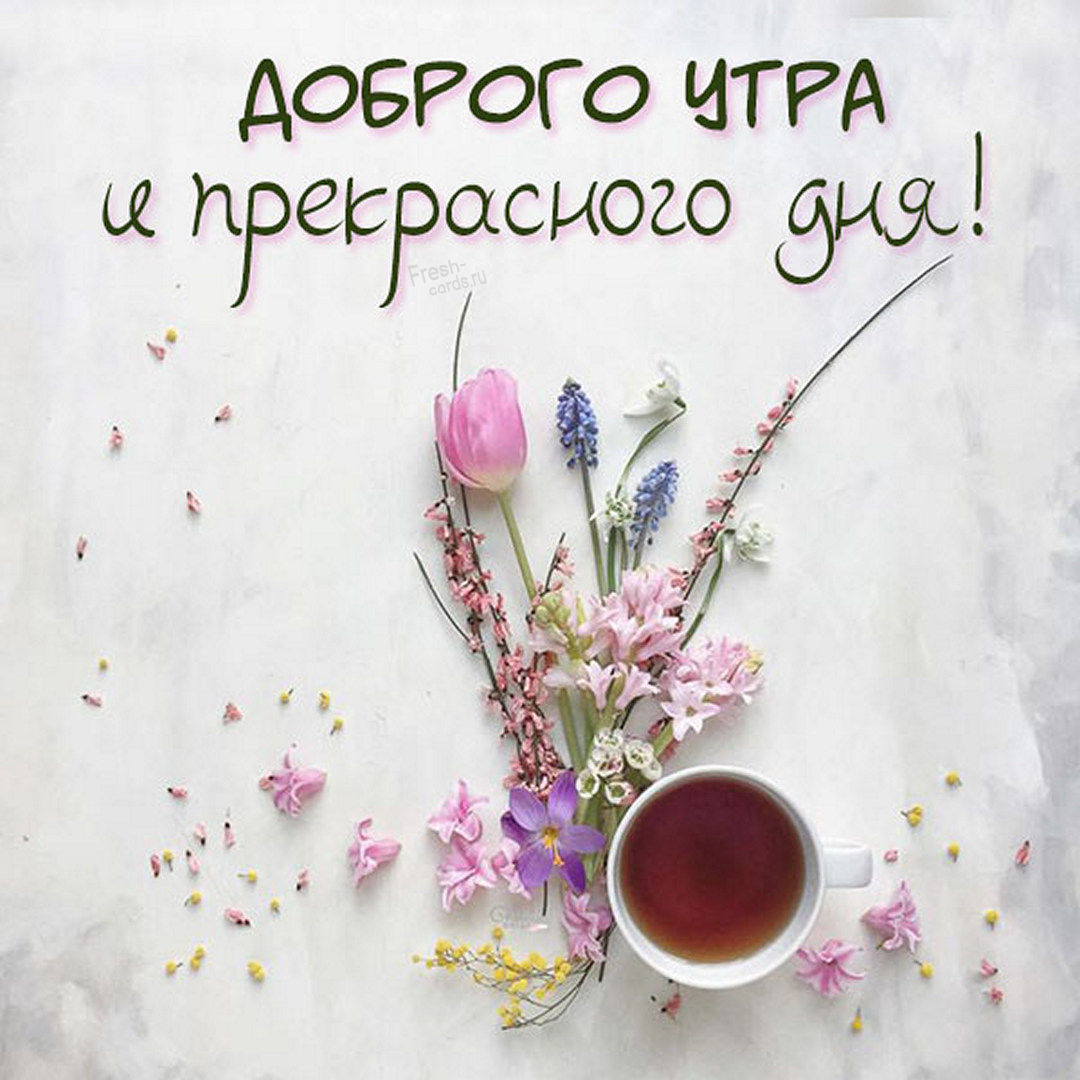 Доброго утра и прекрасного дня, тебе от меня!
