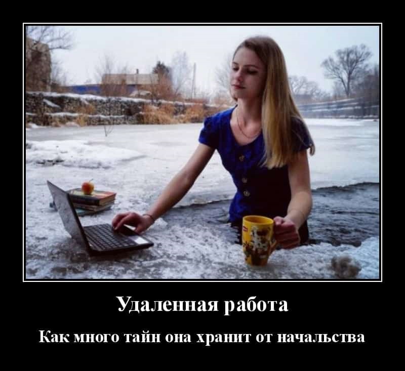 Хостинг картинок yapx.ru