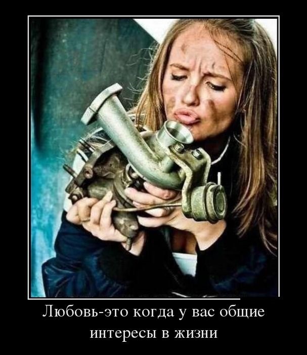 Хостинг картинок yapx.ru