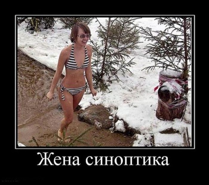 Хостинг картинок yapx.ru