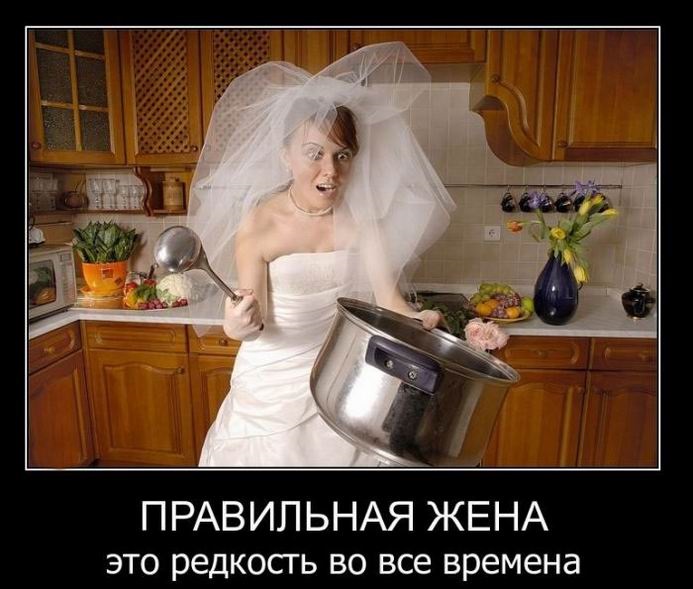 Хостинг картинок yapx.ru